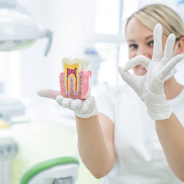 A dentist holding a model of an infected tooth